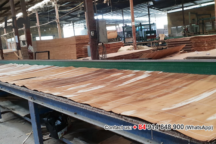 chuyền sản xuất ván ép phủ phim