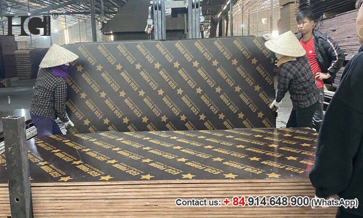 ván ép eco form giá rẻ