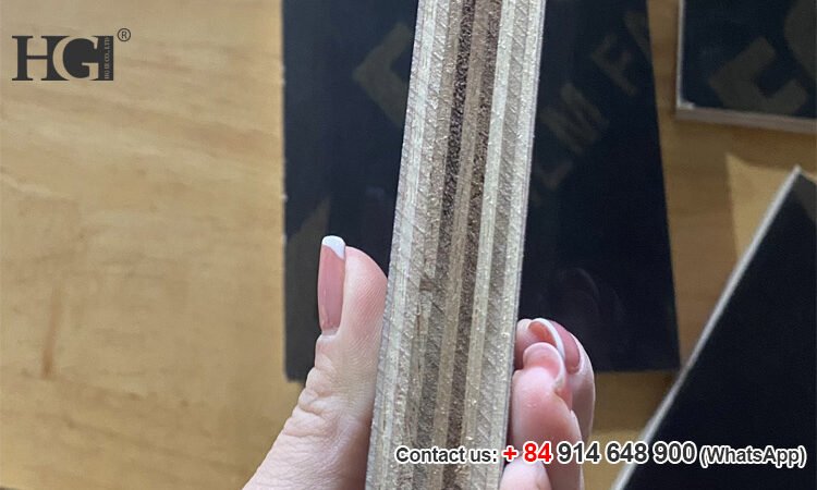 ván ép phủ phim lào cai