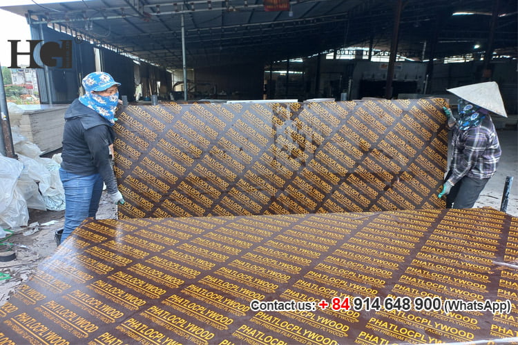 ván ép phủ phim phát lộc