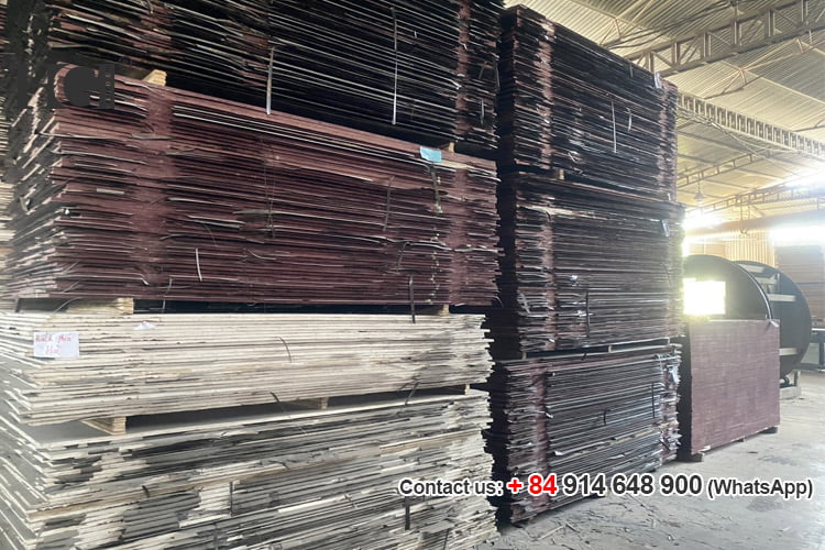 Ván ép phủ phim trước khi bả