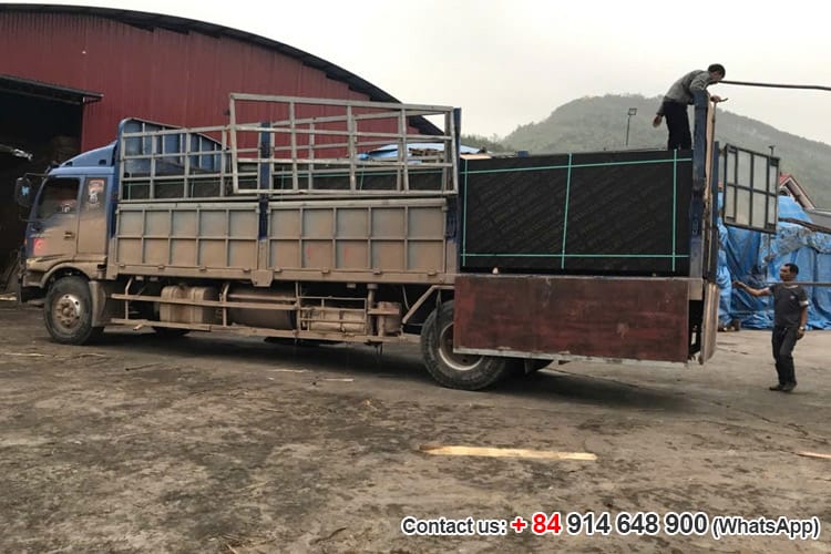 ván ép phủ phim tại cát bà